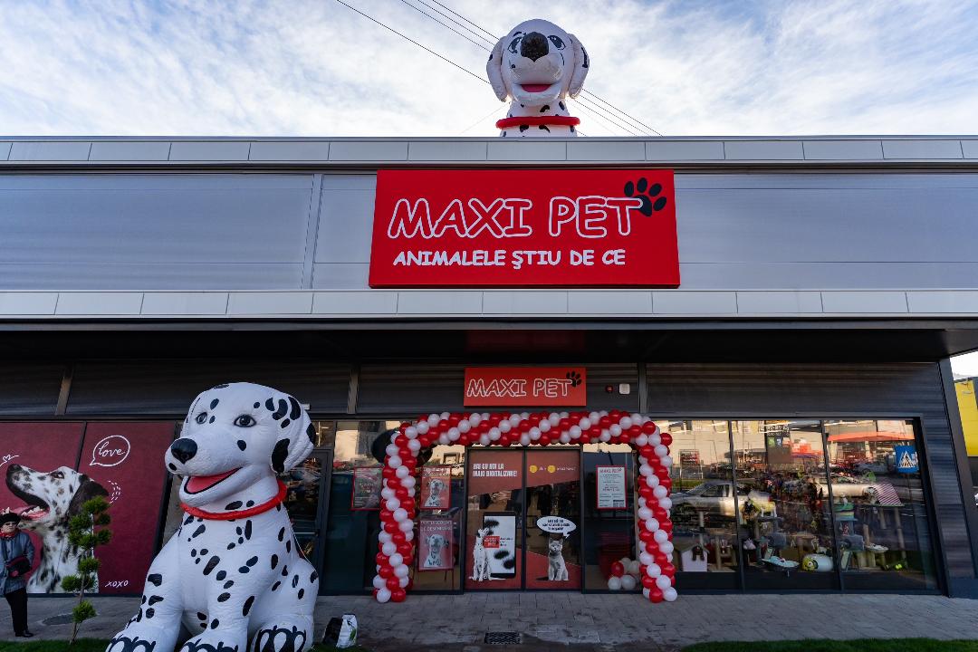 Maxi Pet reduce prețurile la până la 1000 de produse pentru animale de companie și face îngrijirea zilnică mai accesibilă pentru familiile din România